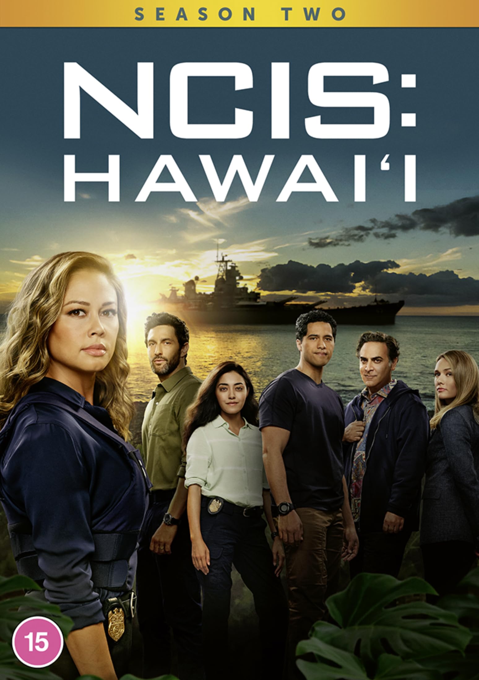 NCIS: Hawai'i: Season Two [DVD]: Amazon.co.uk: Vanessa Lachey